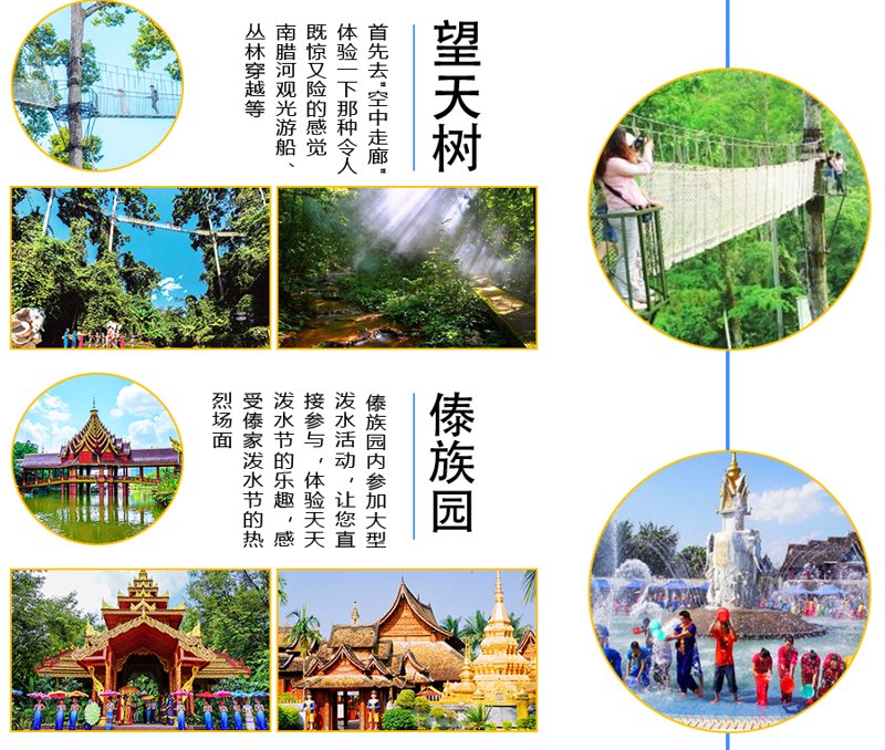 感受西双版纳的自然魅力:旅游包车带你走进热带雨林