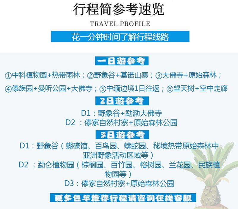 探索西双版纳的独特魅力：包车游成为新风尚