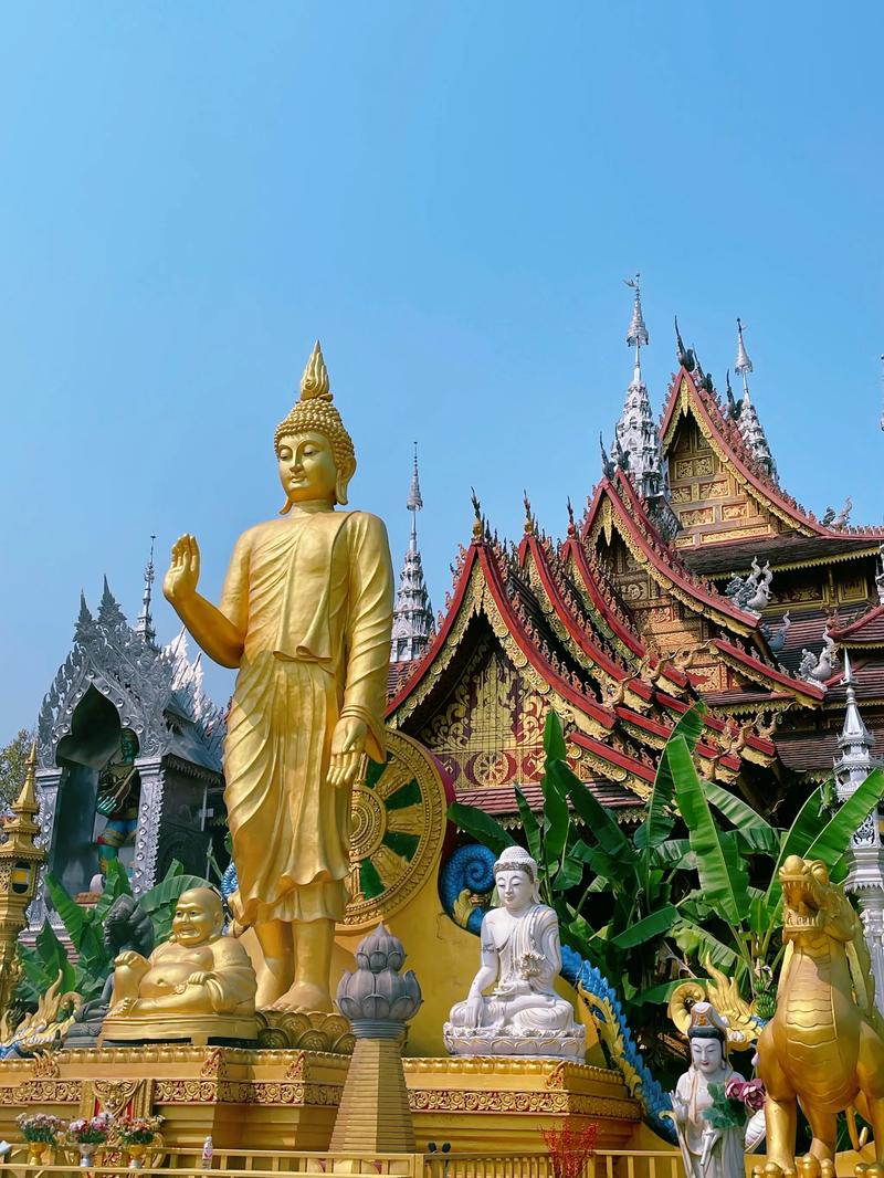 旅游业复苏下，旅游大巴租赁行业的动态与机遇