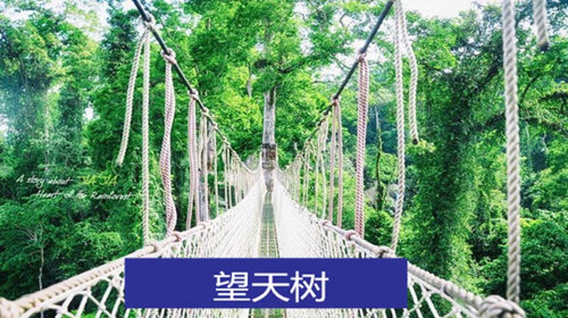 景区直通车选购指南:便捷出行新选择